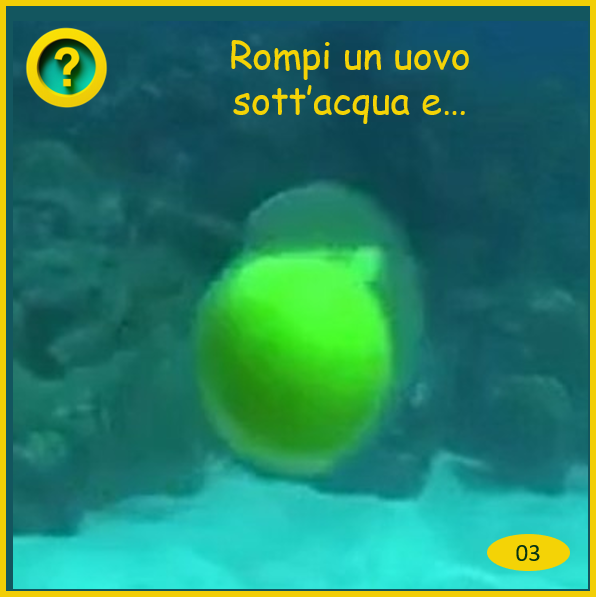 uovo rotto sott'acqua